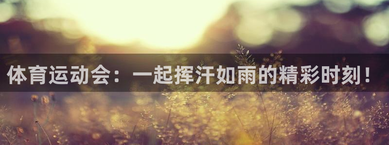米兰体育怎么样：体育运动会：一起挥汗如雨的精彩时刻！