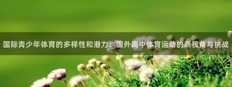 米兰体育平台：国际青少年体育的多样性和潜力：国外高中体育运动的新视角与挑战