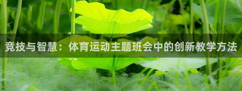 米兰体育怎么样：竞技与智慧：体育运动主题班会中的创新教学方法