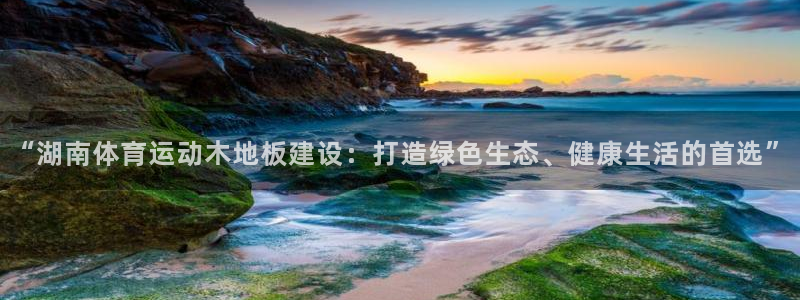 米兰体育下载官网最新版：“湖南体育运动木地板建设：打造绿色生态、健康生活的首选”