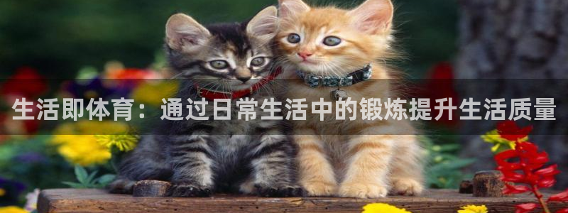米兰体育.