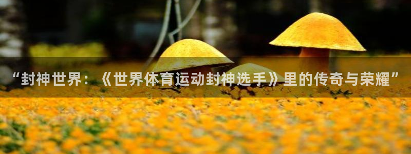 米兰体育报官网