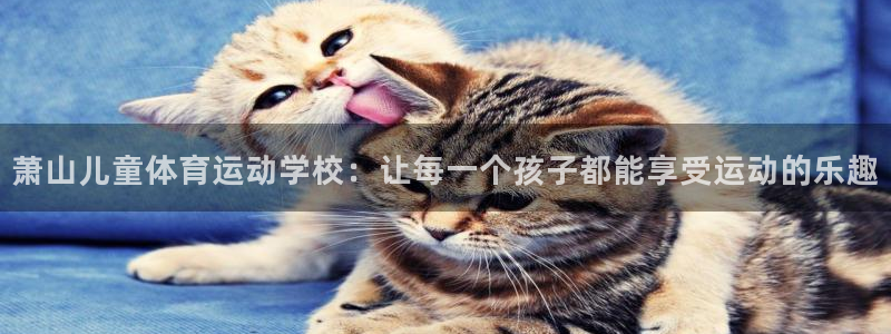 米兰体育官方下载入口：萧山儿童体育运动学校：让每一个孩子都能享受运动的乐趣