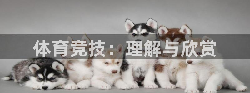 米兰体育下载官网最新版：体育竞技：理解与欣赏